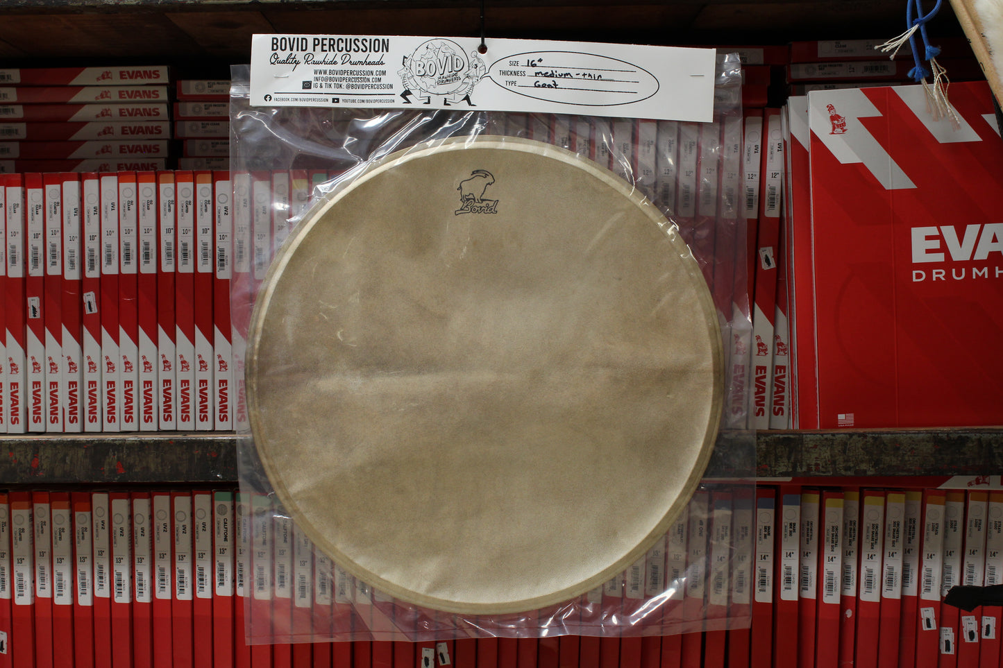 Bovid Percussion 16" Medium - Thin Goat