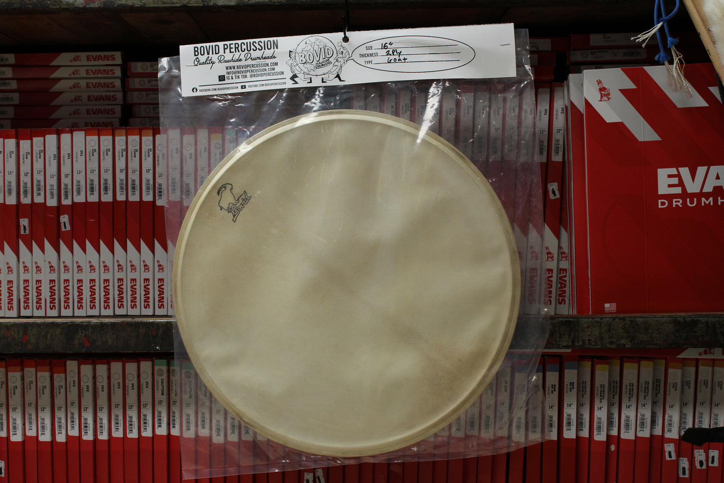Bovid Percussion 16" 2 Ply Goat