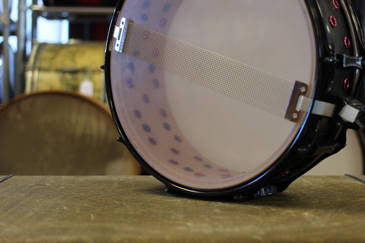 Pork Pie Percussion 5"x14" Little Squealer 16 ply Vented Snare Drum