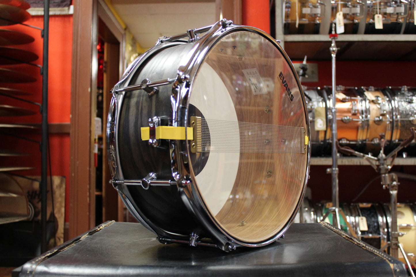 Canopus 6x14 Ash Snare Drum in Blackish Ash Oil Finish