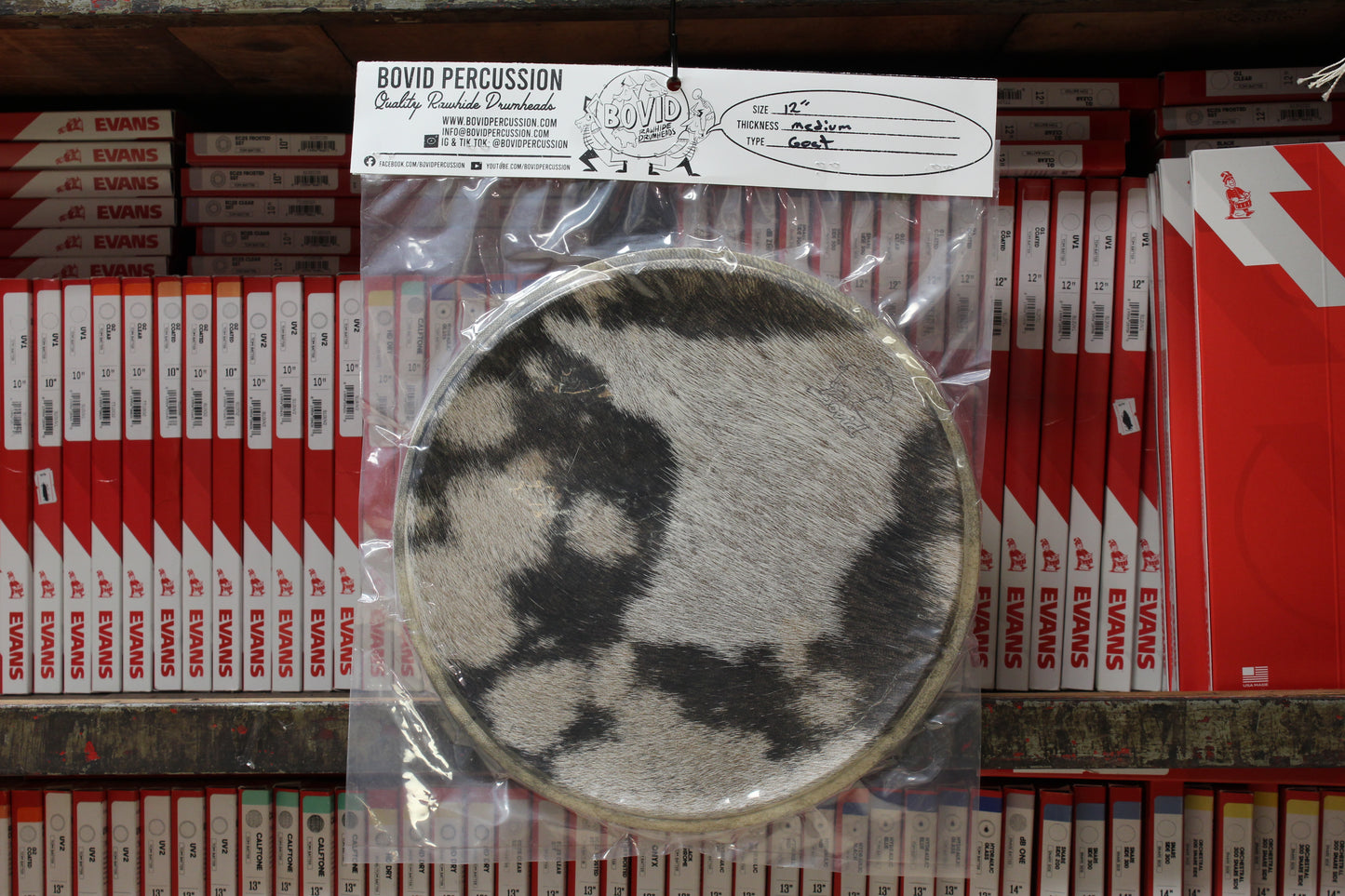 Bovid Percussion 12" Medium Goat Furry