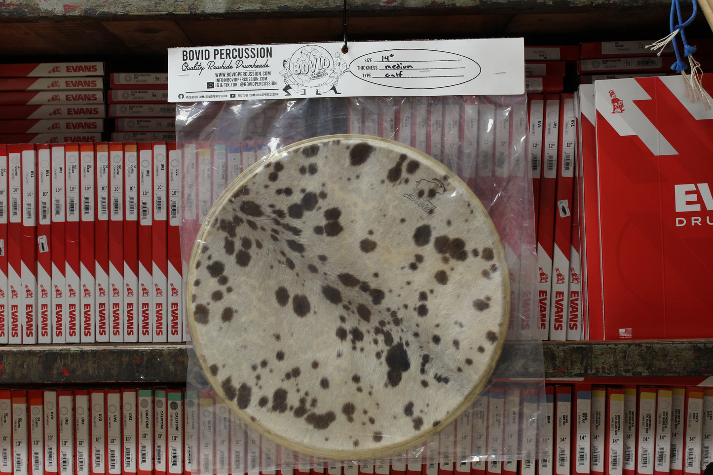 Bovid Percussion 14" Medium Calf Furry