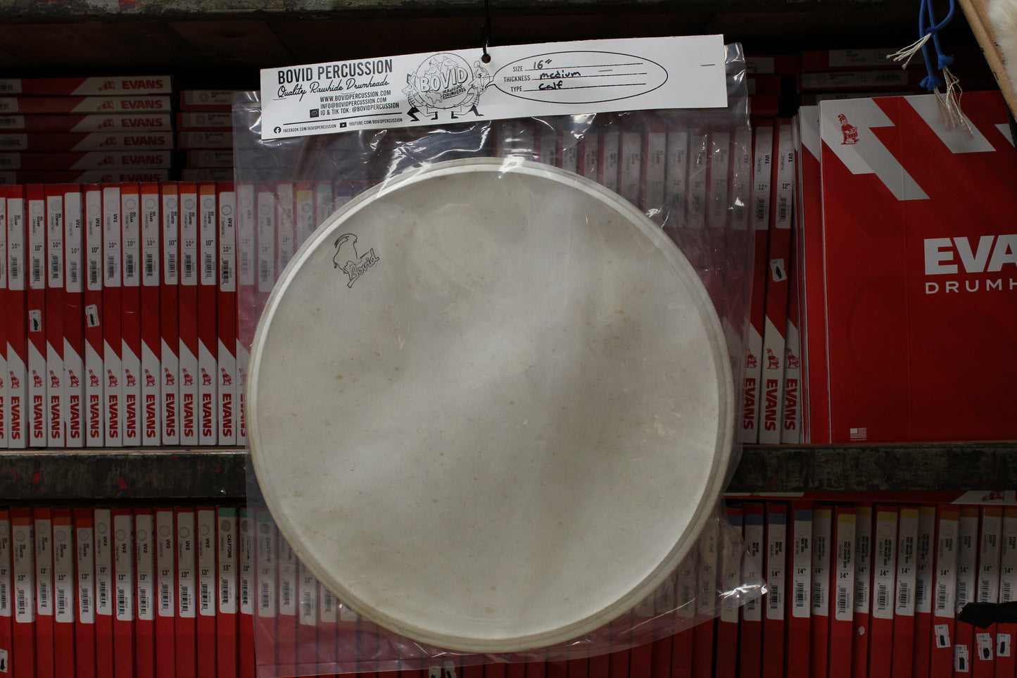 Bovid Percussion 16" Medium Calf