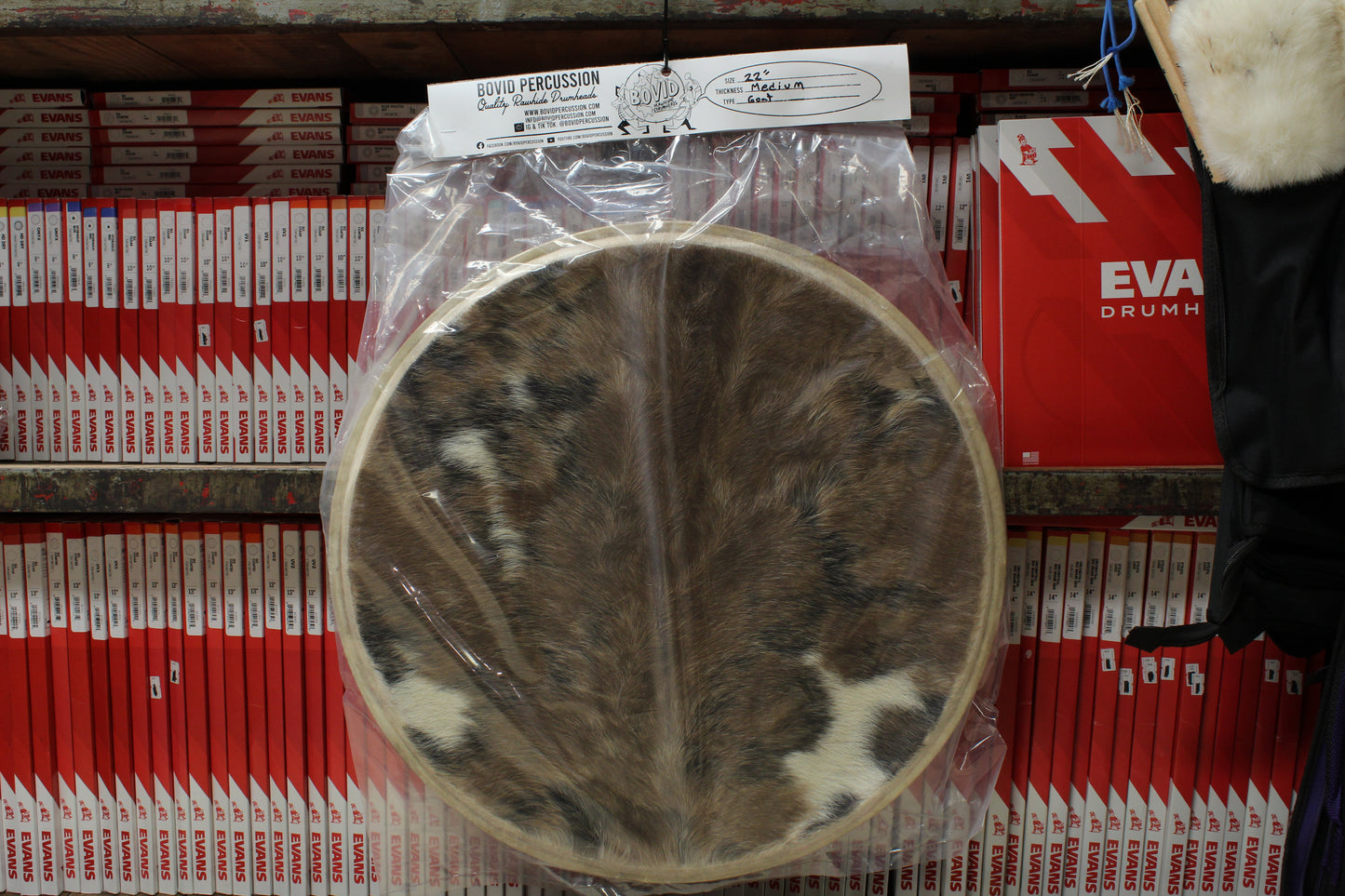 Bovid Percussion 22" Medium Goat Furry