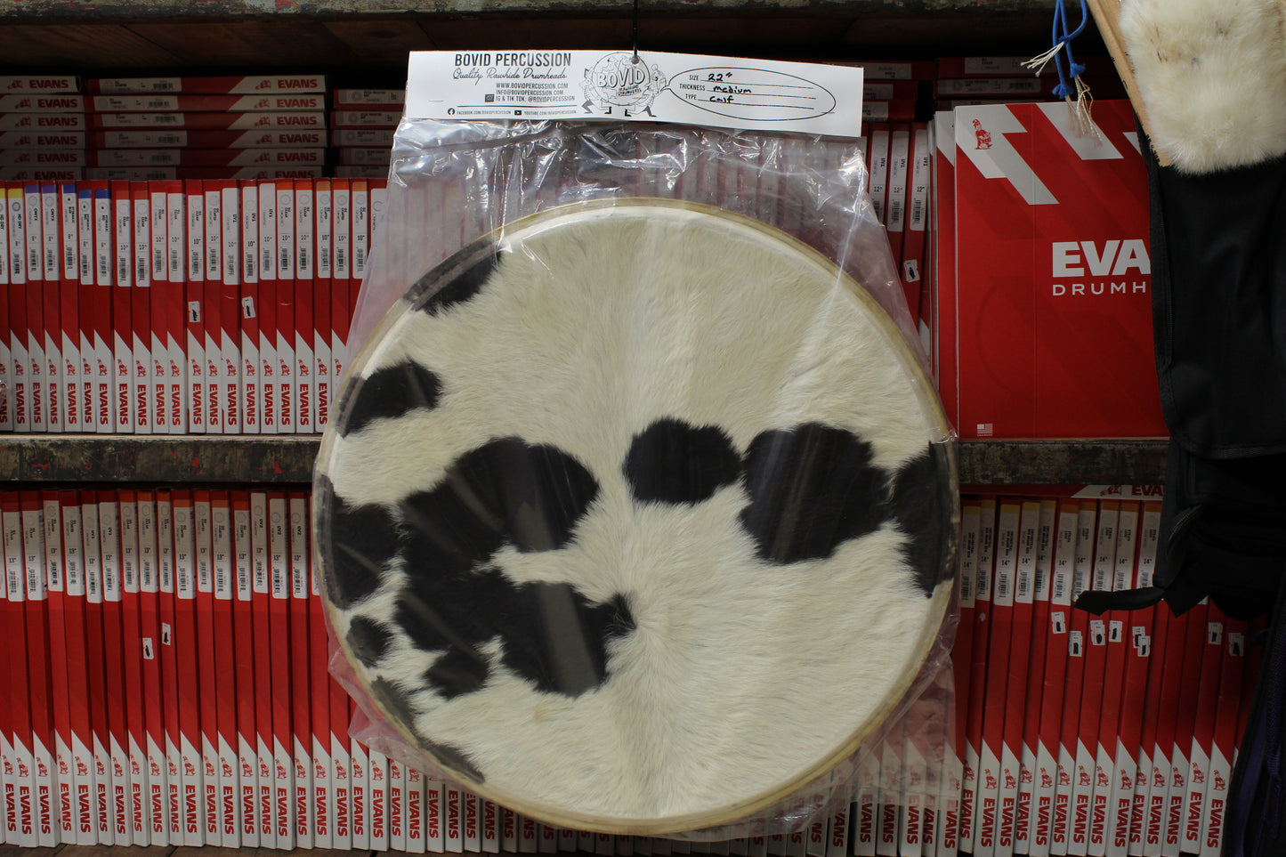 Bovid Percussion 22" Medium Calf Furry