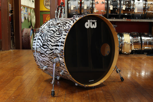1998 DW Collectors Series Outfit in Zebra Marine Pearl 18x22 13x16 11x14 9x12 8x10