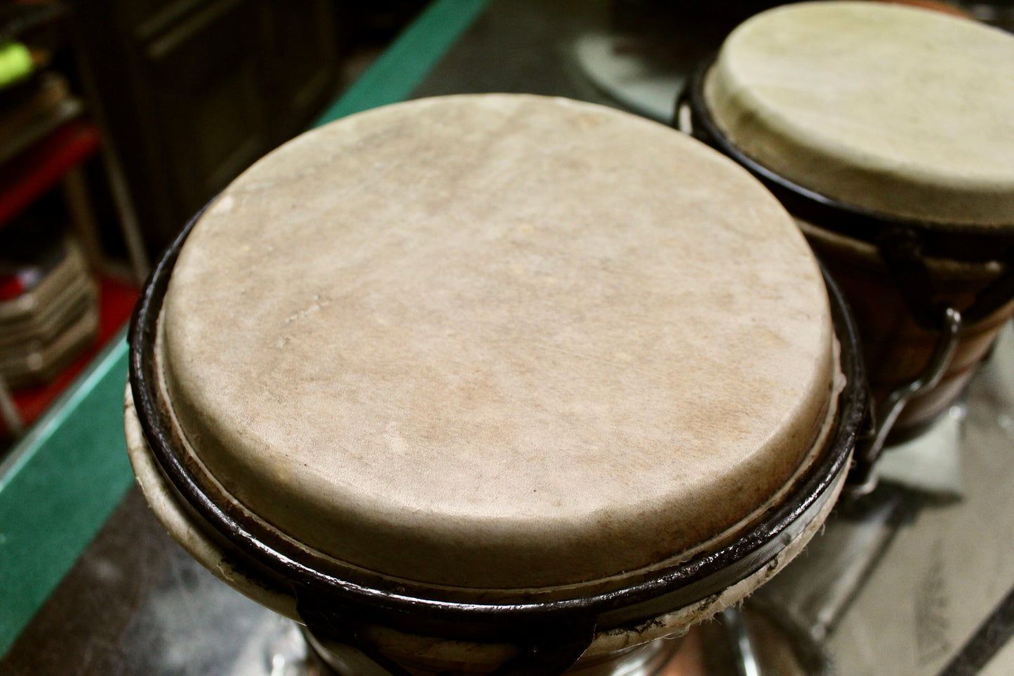 Caribbean Rhythms 6.75" x 8" Solid Shell Caoba Bongos