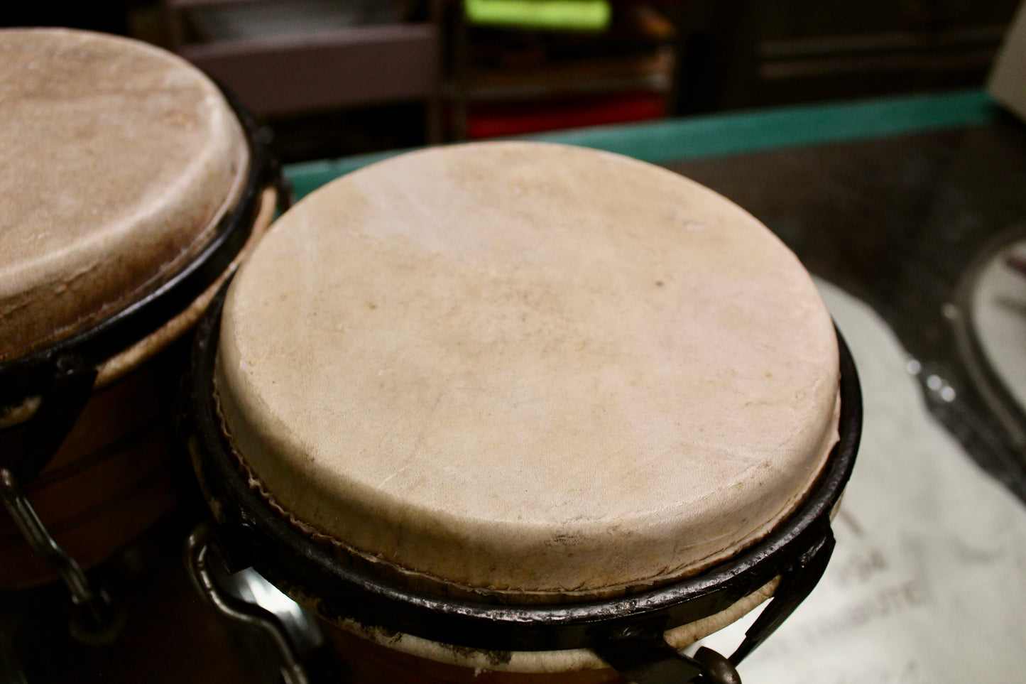 Caribbean Rhythms 6.75" x 8" Solid Shell Caoba Bongos
