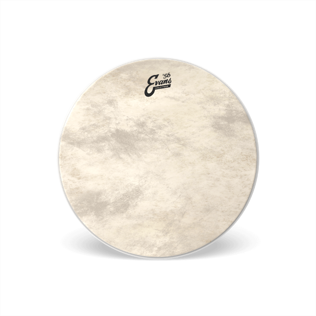 Evans Calftone Bass Batter Drumhead