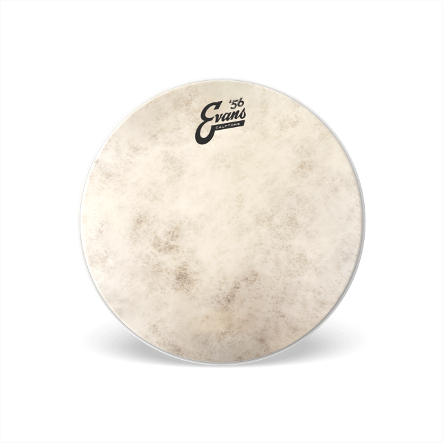 Evans Calftone Tom Batter Drumhead