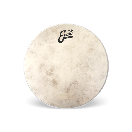 Evans Calftone Tom Batter Drumhead