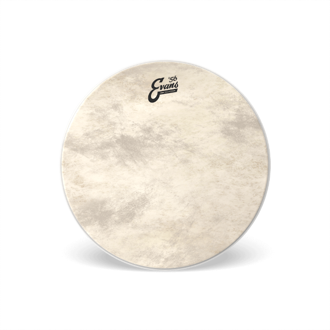 Evans EQ4 Calftone Bass Batter Drumhead - 24" – OPEN BOX